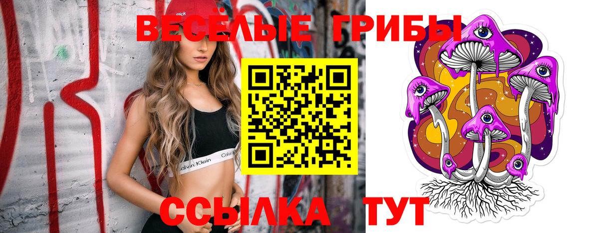 Галлюциногенные грибы Magic Shrooms  Вход с VPN  Карпинск 