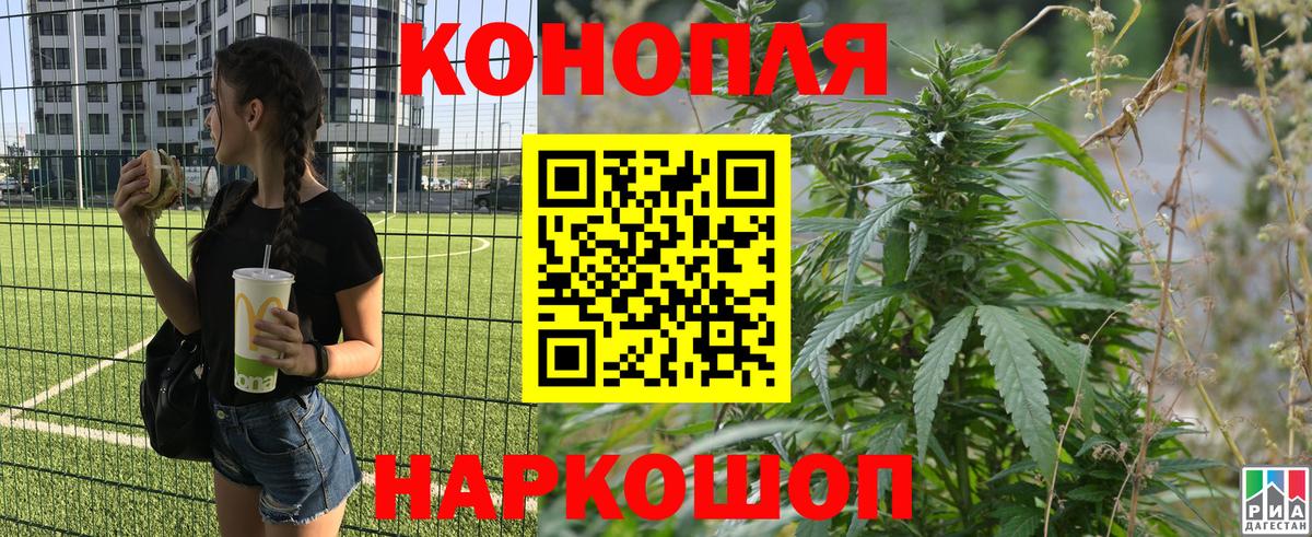 Бошки марихуана OG Kush Карпинск